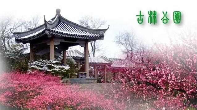 <b>【南京三门湾電(diàn)器】周日4.24古林公园赏牡丹花(huā)、</b>